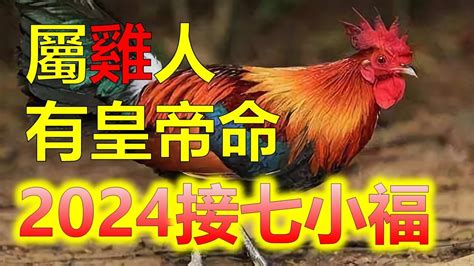 屬雞的年份|屬雞出生年份/幾多歲？屬雞性格特徵+生肖配對+2024。